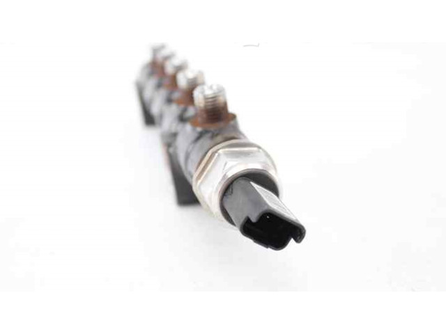 Топливная рампа 9654592680, 9658227880   Citroen C3  