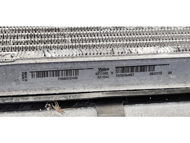 Vstřikovací lišta    Citroen C4 Grand Picasso     