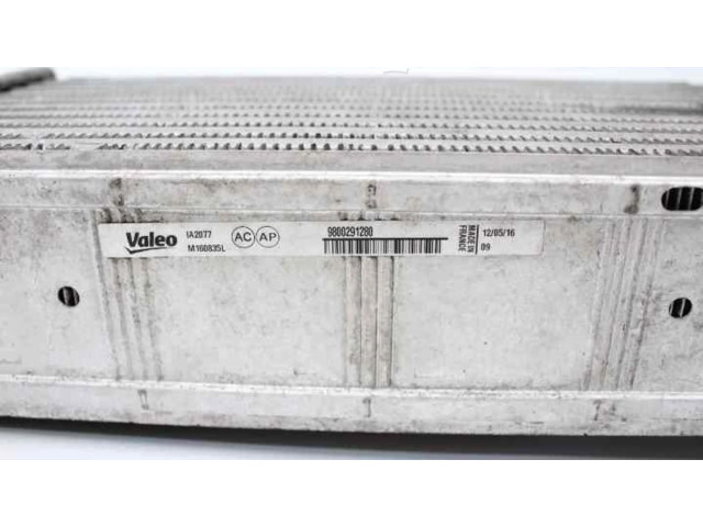 Интеркулер  0384N9, 9800291280M160835L   Peugeot 5008 