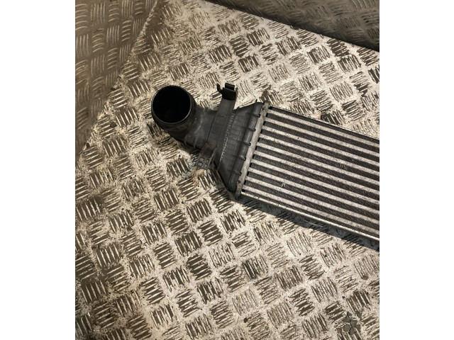 Интеркулер  2045000200, A2045000200   Mercedes-Benz E W212 