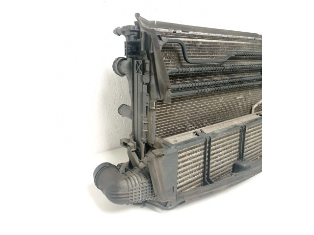 Pojistková skříňka Комплект радиатора A0995002703, A0995006203 Mercedes-Benz C W204 2011