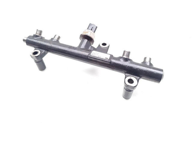 Топливная рампа 9663305480, 28497Z01   Ford Kuga I   для двигателя TXDA