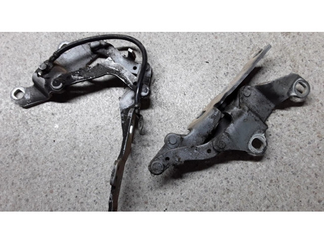 Петля (петли) капота двигателя