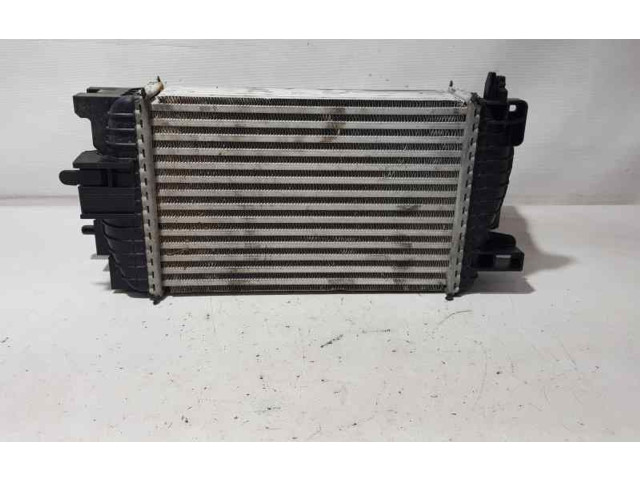 Интеркулер  99001059, 8ML376756431   Opel Meriva B 