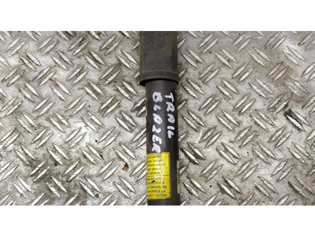 Задний aмортизатор      