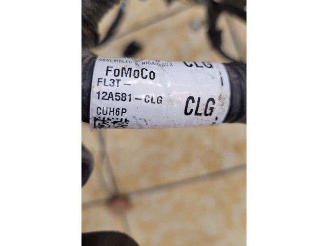 Блок предохранителей  FL3T12A581, FL3T12A581CLG   Ford F150    