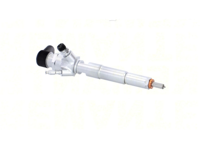 Форсунка A2C59507596, A2C59507596    Dacia Duster   