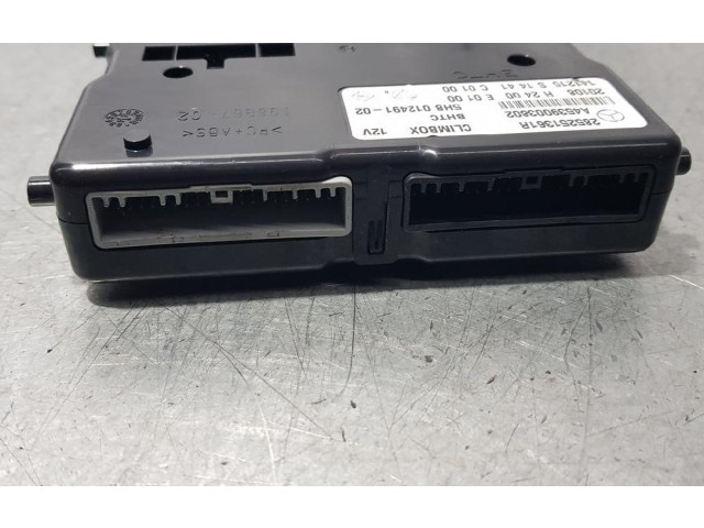 Блок управления A4539003802, 5HB01249102 Smart ForFour II W453