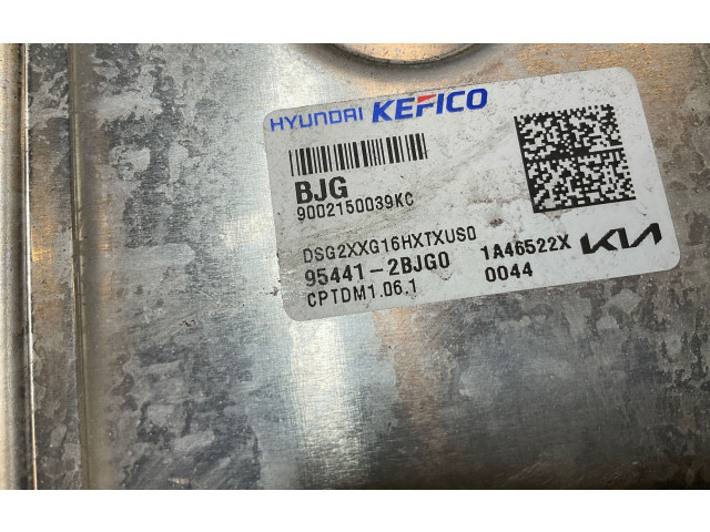 Блок управления 954412BJG0, 9002150039KC KIA Niro