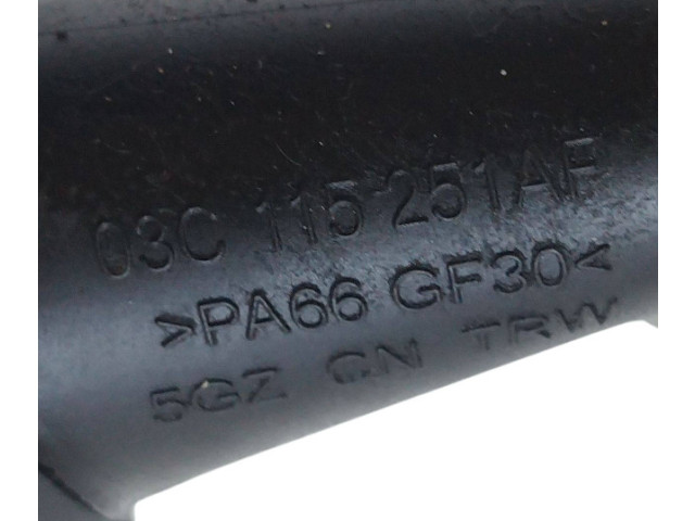 Масляный насос  caxa 03C103669E, 03C115251  Volkswagen Golf Plus 