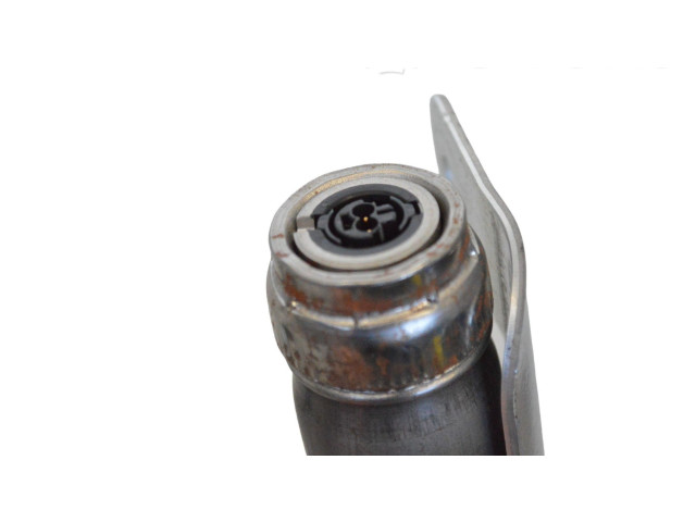 Надувная подушка для крыши 103676000H Tesla Model X L2S