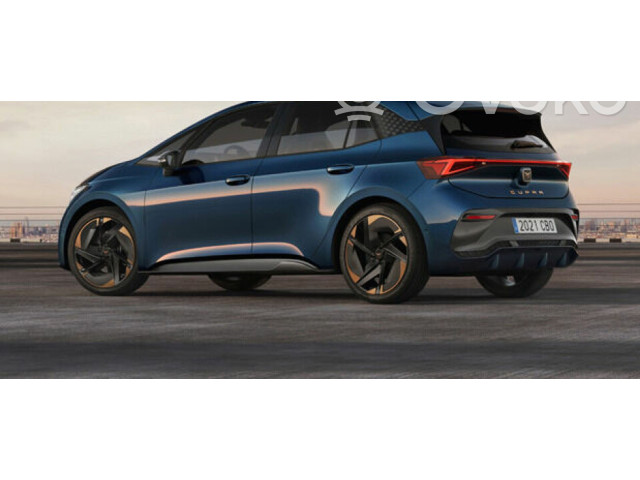 Руль Cupra Born  2021 -  года 10E419091AB      