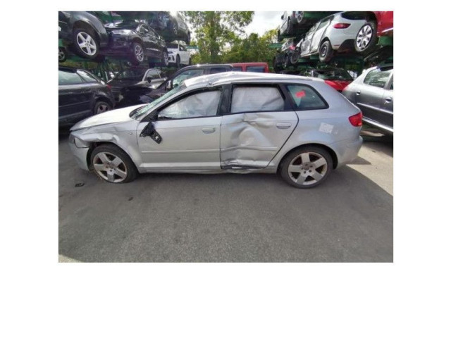 Vstřikovač 8P0920931E, 8P0920931E   Audi RS3 8PA    BGU 