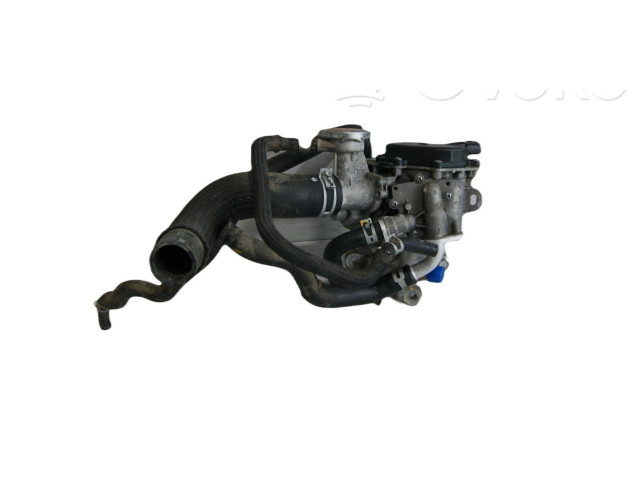 Клапан EGR V29069370, 603306871 Infiniti Q50