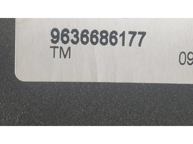 Zpětné zrcátko Сзади Citroen Berlingo 1963  8153JN, ELECTRICO  