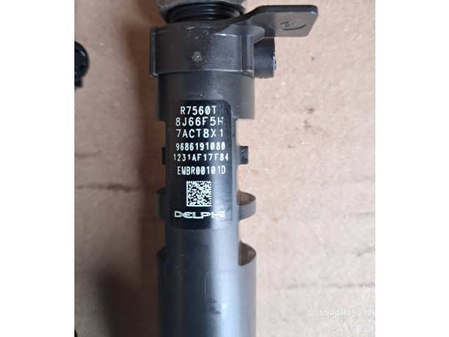 Комплект форсунок 9686191080 Citroen DS4