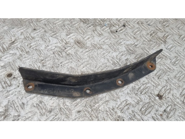 Задний брызговик