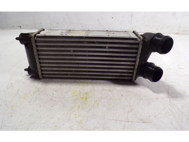 Интеркулер 9800291280, 9800291280 Citroen DS4