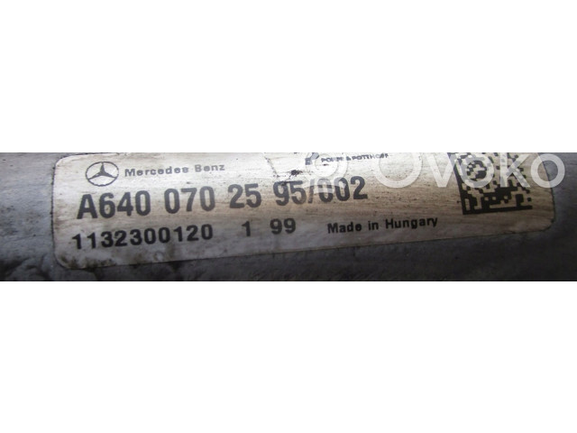 Топливная рампа A6400702595   Mercedes-Benz A W169  