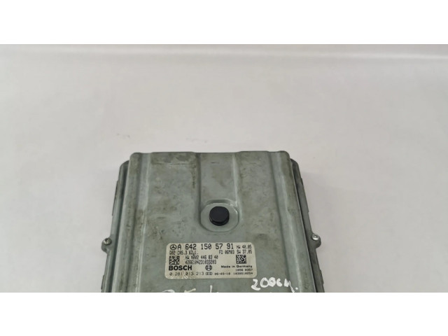 Řídící jednotka A6421505791, A0024468340 Mercedes-Benz S W221 2006