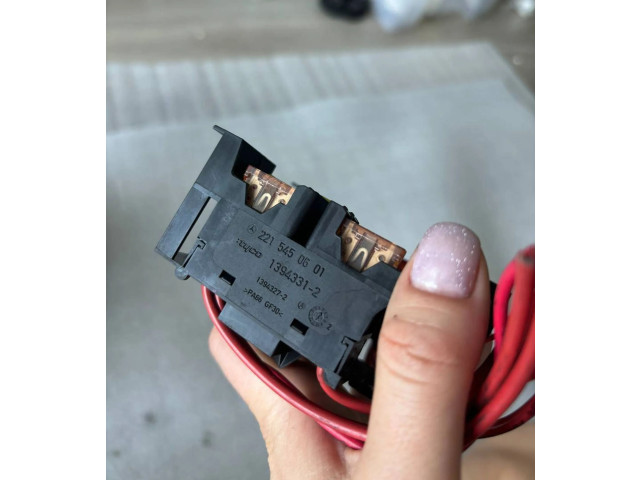 Pojistková skříňka A2215450601, 003999V Mercedes-Benz S W221 2008