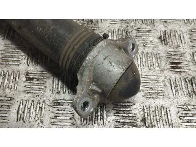 Задний aмортизатор      