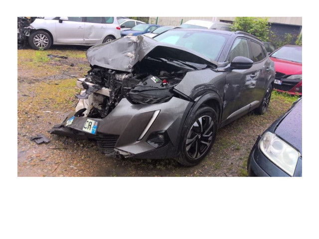 Блок предохранителей 1665665080, 1665665080 Peugeot 2008 II