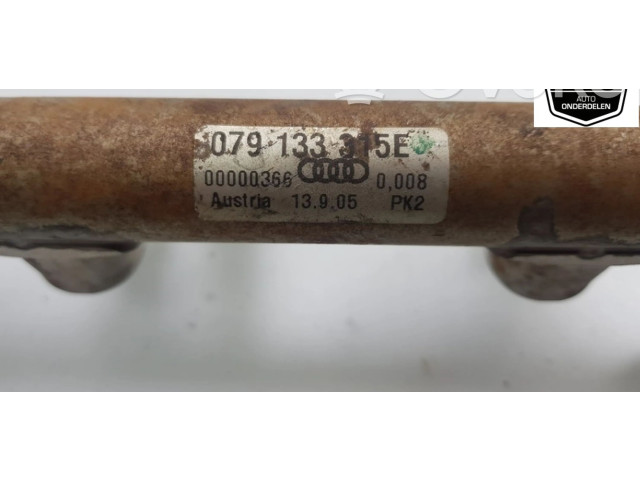 Vstřikovací lišta 079133315E, 079133315E Audi Q7 4L BAR