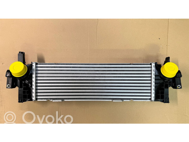 Интеркулер 17518584127, 17118584127 BMW X5 G05 0.0