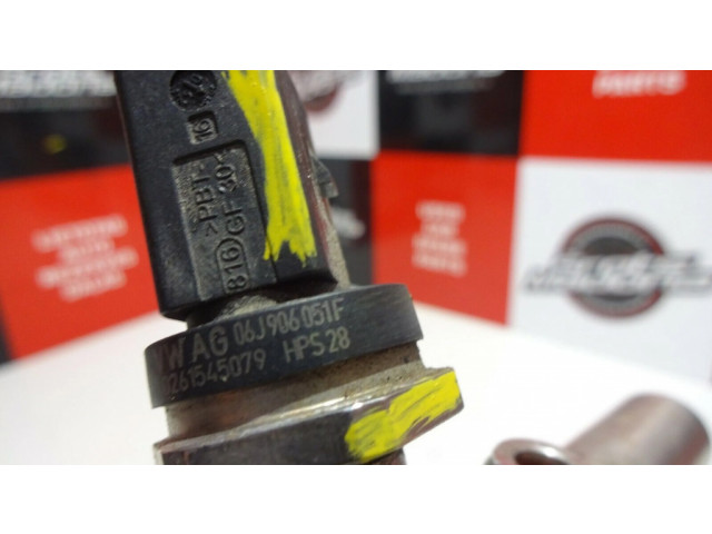 Комплект форсунок 06K133317G, 06L906036K    Audi A5 8T 8F   