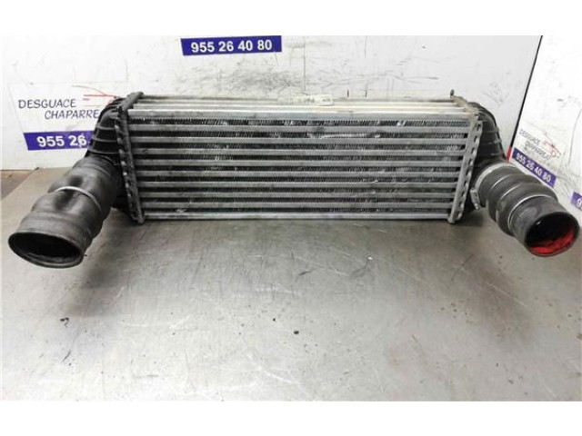 Интеркулер     Ford Transit -  Tourneo Connect 