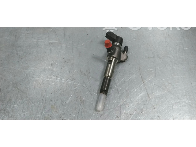 Форсунка 9802448680, 1608518380 Ford Transit - Tourneo Connect TZGA