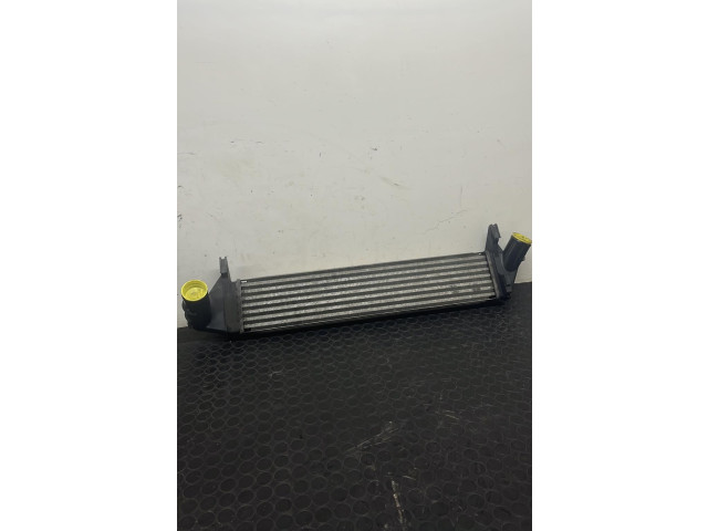 Интеркулер Dacia Logan I