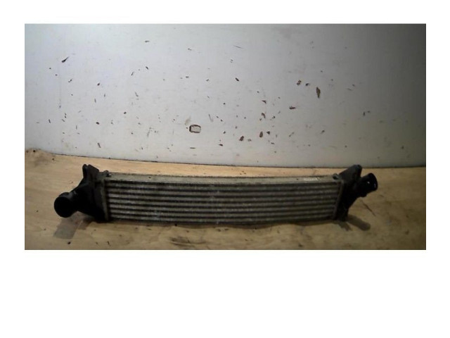 Интеркулер 8200409045, 8200409045 Dacia Logan I