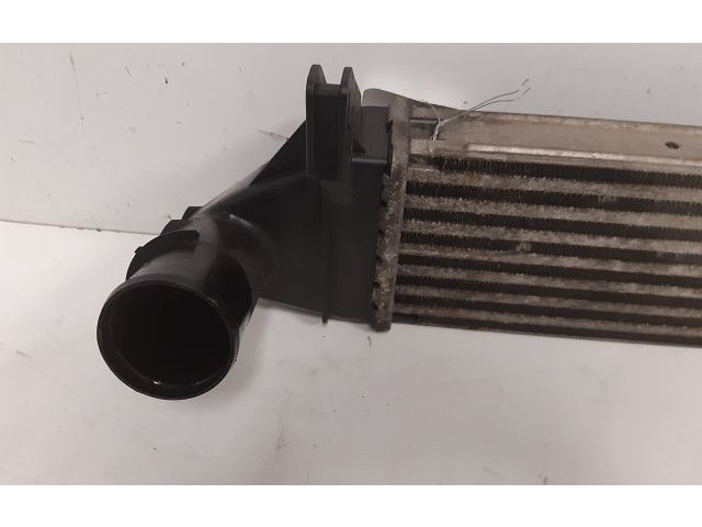 Интеркулер 131302020299 Dacia Logan I