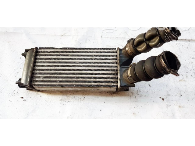 Интеркулер 9656503980, 992507M Nissan Pathfinder R51