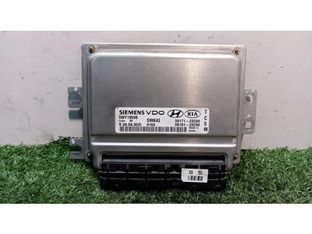 Блок управления двигателя 5WY1959B, SIMK43   Hyundai Tucson JM