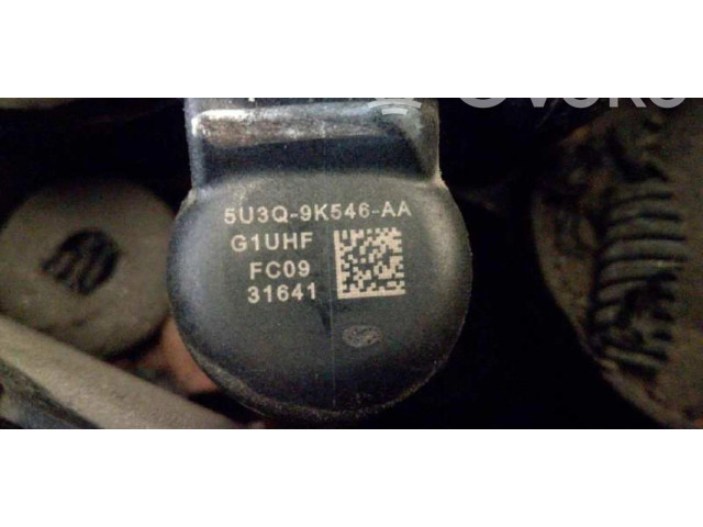 Форсунка 5U3Q9K546AA Jaguar XJ X350