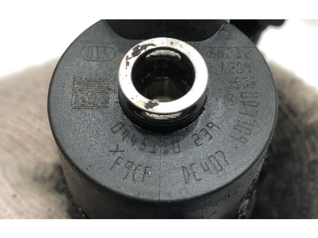 Комплект жиклеров (форсунок) 0445110239 Citroen C4 I