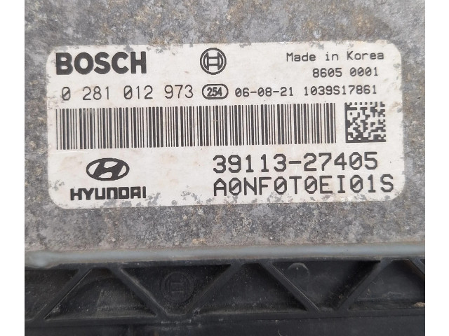 Комплект блоков управления 0281012973, 3911327405 Hyundai Sonata