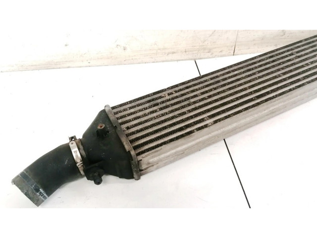 Интеркулер     Fiat Bravo 1.9