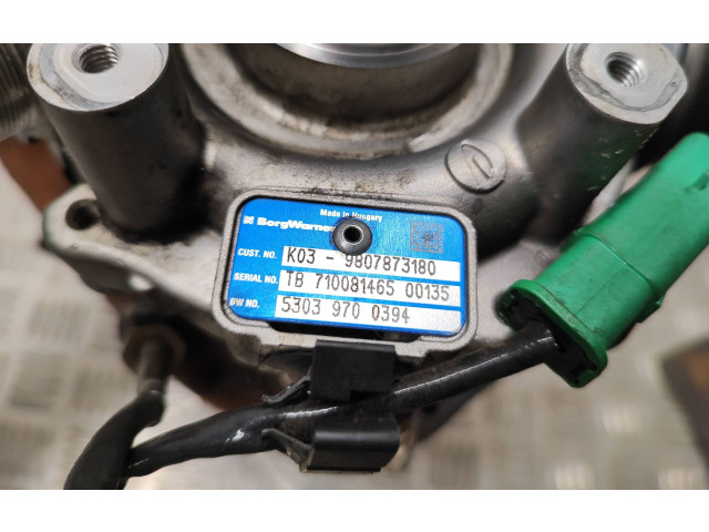  Турбина Ford S-MAX  9807873180, 53039700394   для двигателя T7CL      