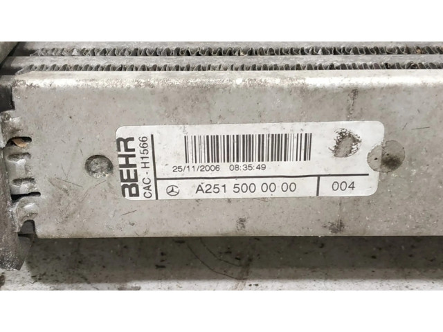 Интеркулер 2515000000, 1645001900 Mercedes-Benz R W251 3.0