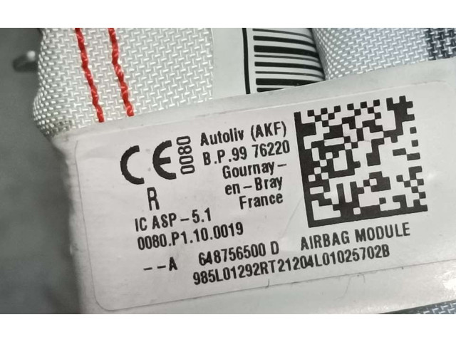 Боковая подушка безопасности 648756500D Dacia Sandero