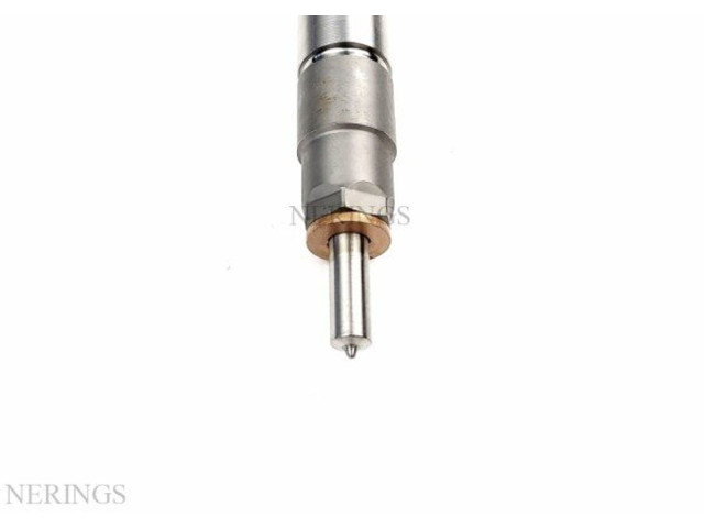 Жиклер (жиклеры) (форсунка (форсунки) 0445110955, 0445110954 Peugeot 2008 I