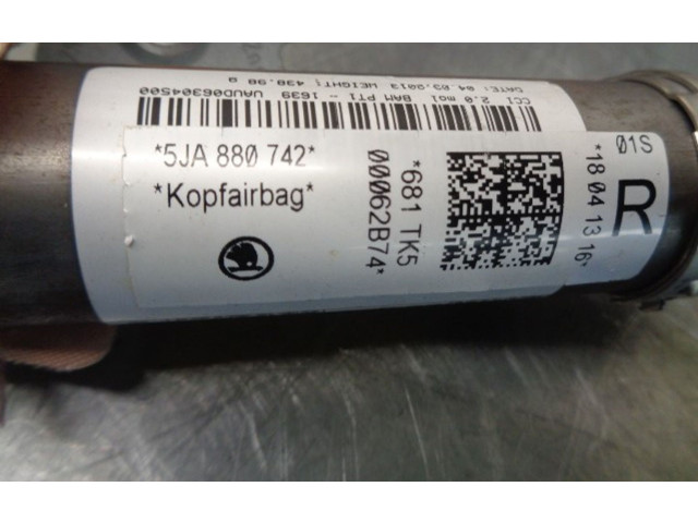 Подушка безопасности двери 5JA880742, 307680110AA   Skoda Rapid (NH)