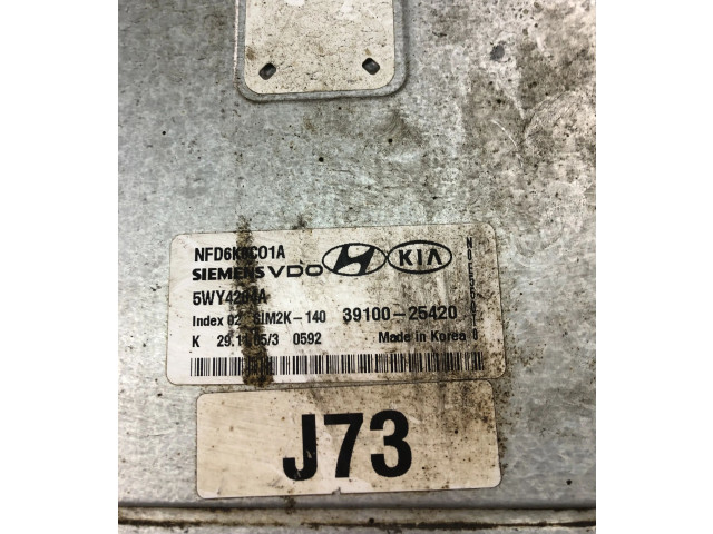 Блок управления двигателя 3910025420, FR572 Hyundai Sonata