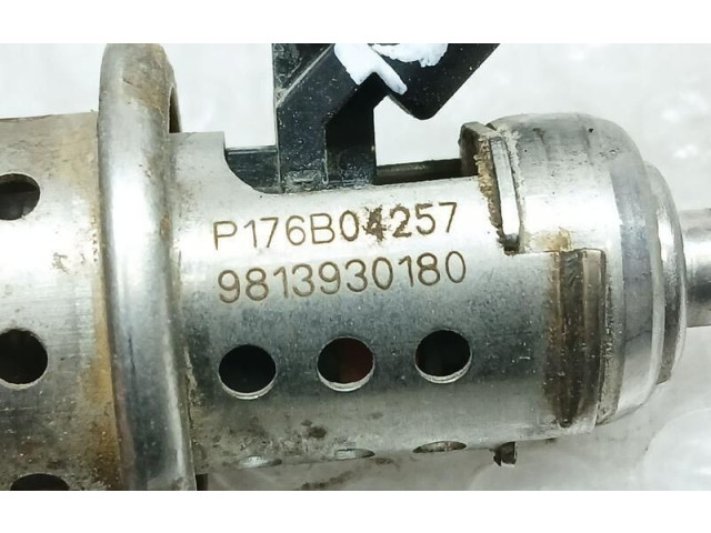 Форсунка 9813930180    Peugeot Partner III  YH01 