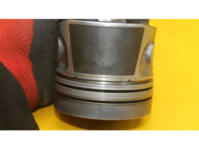 Píst Audi A4 S4 B6 8E 8H