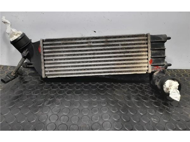Интеркулер 1489396080 Citroen C8
